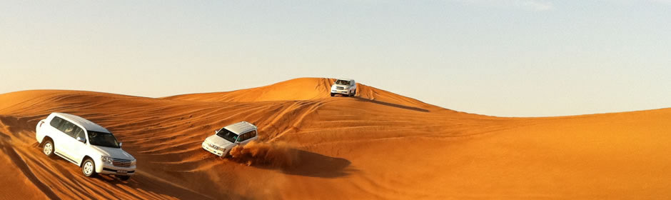 Dubai Desert Safari